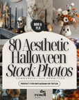 80 Aesthetic Halloween Stock Photo Bundle | Spooky PNG Images | PLR + MRR | Commercial Use | Google Drive Download | Dark Fall Content Kit