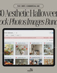80 Aesthetic Halloween Stock Photo Bundle | Spooky PNG Images | PLR + MRR | Commercial Use | Google Drive Download | Dark Fall Content Kit