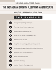 The Instagram Growth Blueprint Masterclass 3 Hour Video Course | 25 Modules, 99 Videos | Viral IG 101 Course | Digital Marketing Course with PLR & MRR - theResellBrand
